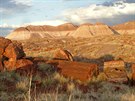 Petrified Forest