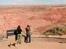 Petrified Forest