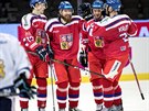 Gólová radost eských hokejist