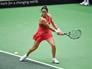 Lara Arruabarrenaová v utkání Fed Cupu proti Barboe Strýcové