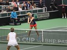 Kateina Siniaková (elem) ve tyhe Fed Cupu