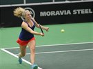 Kateina Siniaková ve tyhe Fed Cupu