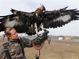 Francouzsk armda cvi orly pro lov zbloudilch dron (10. nora 2017)