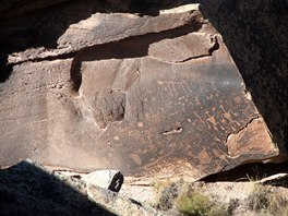 Petrified Forest