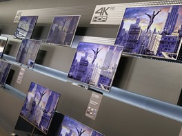 Základem 4K ady je model EX600 (40 a 65 palc), který vak neumí pracovat s...