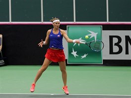 Lucie Šafářová ve čtyřhře Fed Cupu