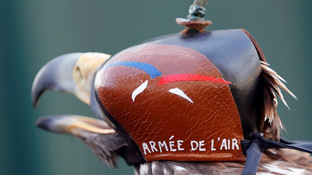 Francouzsk armda cvi orly pro lov zbloudilch dron (10. nora 2017)