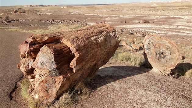 Petrified Forest