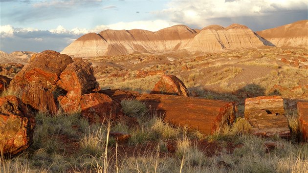 Petrified Forest