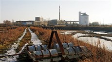 Cukrovar v Hrochov Týnci v dob ped likvidací.