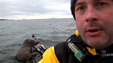 Alistair Forrest svezl tulen na svém kajaku v ústí eky Forth ve Skotsku, kde...