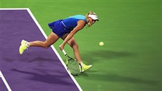 TUHÝ BOJ. Caroline Wozniacká ve finále turnaje v Dauhá