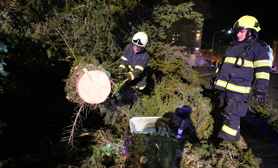 Hasii v Chebu museli odklízet stromy, které popadaly kvli silnému vtru (23....