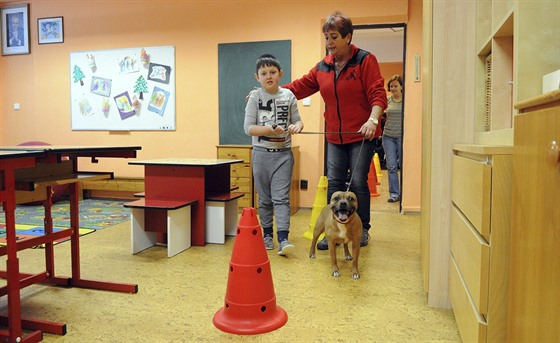 Hana Radovesnická chodí se svými psy pravidelně i mezi postižené děti. Ty pod...
