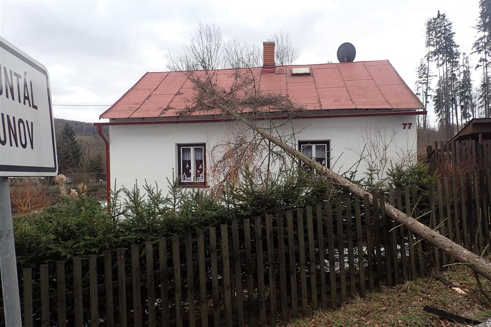 Na stechu rodinného domu v Bruntále spadl v noci na pátek strom. (24.2.2017)