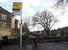 Silný vítr zaskoil britské ostrovy. Popadané stromy zatarasily silnici. (23.2....