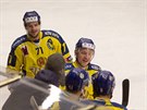 Hokejisté Perova slaví branku na led eských Budjovic.