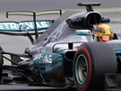 BESTIE. Lewis Hamilton se svým novým vozem pi testech ve panlsku.