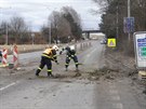 V Ostrav-Porub spadl na projídjící auto vysoký smrk (24. února 2017)