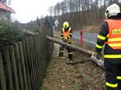 V Bruntále spadlý strom poniil plot a stechu (24. února 2017)