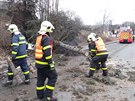 V Ostrav-Porub spadl na projídjící auto vysoký smrk (24. února 2017)