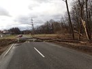 V Tanovicích na Frýdecko-Místecku spadl strom na elektrické vedení (24. února...