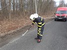 V Tanovicích na Frýdecko-Místecku spadl strom na elektrické vedení (24. února...