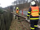V Bruntále spadl strom na plot a stechu domu (24. února 2017)