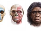 Takhle njak mohl vypadat hobití homo floresiensis. Lovil v tlupách, uml...