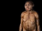 Homo floresiensis koexistoval s homo sapiens.