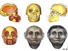 A jet jedna rekonstrukce podoby hobitího Homo floresinsis, tentokrát...