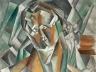 Pablo Picasso: Femme Assise (61,68 milionu dolar)