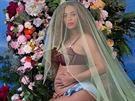 Beyoncé tímto snímkem v únoru 2017 oznámila, že je těhotná a čeká dvojčata.