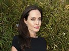 Angelina Jolie (Los Angeles, 16. ledna 2016)