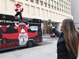 Býk Benny ádil po Chicagu v remaku filmového hitu Volný den Ferrise Buellera.