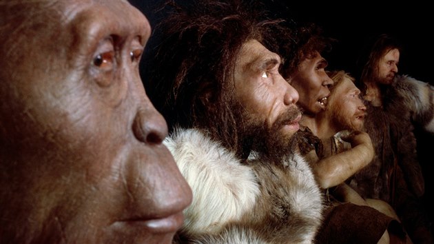 A jet jednou zleva doprava: Australopithecus afarensis, Homo georgicus, Homo ergaster, Homo neanderthalensis  a Homo sapiens sapiens kromaonskho typu