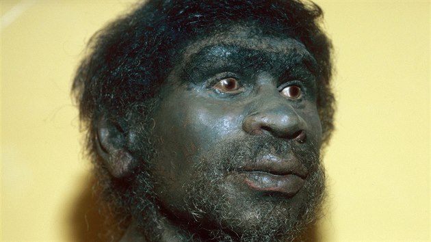 Takto si vdci pedstavuj hlavu Homo rhodesiensis.