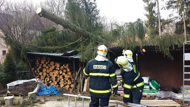 V obci Hraditko na Nymbursku spadl pod nporem vtru stolet smrk na zaparkovan osobn automobil. Nikdo nebyl zrann.