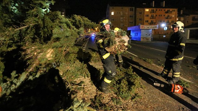 Hasii v Chebu museli odklzet stromy, kter popadaly kvli silnmu vtru (23. nora 2017).