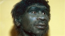 Takto si vdci pedstavují hlavu Homo rhodesiensis.