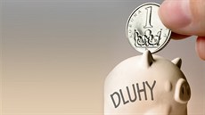Mu�i v pr�m�ru dlu�í kolem 28 000 korun, �eny necelých 25 000 korun. Ilustra�ní...