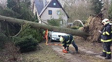 V obci Hraditko na Nymbursku spadl pod náporem vtru stoletý smrk na...