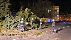 Hasii v Chebu museli odklízet stromy, které popadaly kvli silnému vtru (23....