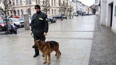 Novou posilou p�erovských strá�ník� se stal �ty�letý n�mecký ov�ák Chaka...