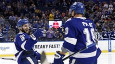Tyler Johnson (vlevo) a Ond�ej Palát oslavují gól Tampy.