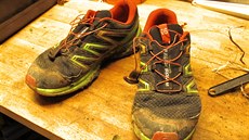 Wingsy 2 od Salomonu 1200 km poté aneb jak to vidí b�ecký nýmand.