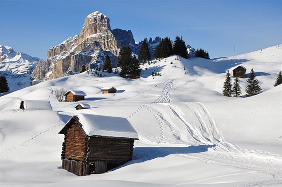 V Alta Badii se lyuje u pes 50 let.