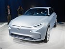 Hyundai FE Fuel Cell Concept