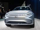 Hyundai FE Fuel Cell Concept