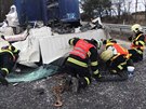 Pi nehod kamionu na dálnici D35 zahynul idi